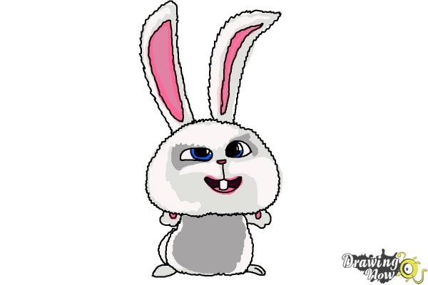 How to Draw Snowball from The Secret of Pets - Step 10 How to Draw Snowball from The Secret of Pets - Step 10