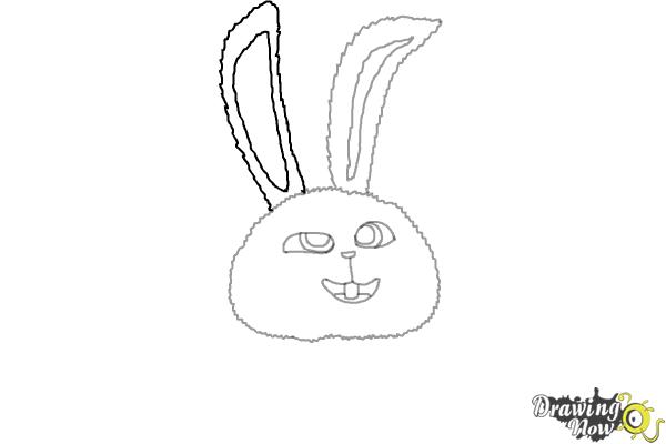 How to Draw Snowball from The Secret of Pets - Step 6 How to Draw Snowball from The Secret of Pets - Step 6