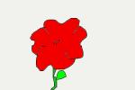 Poppy