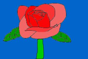 Red Rose