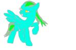 This Is Traced